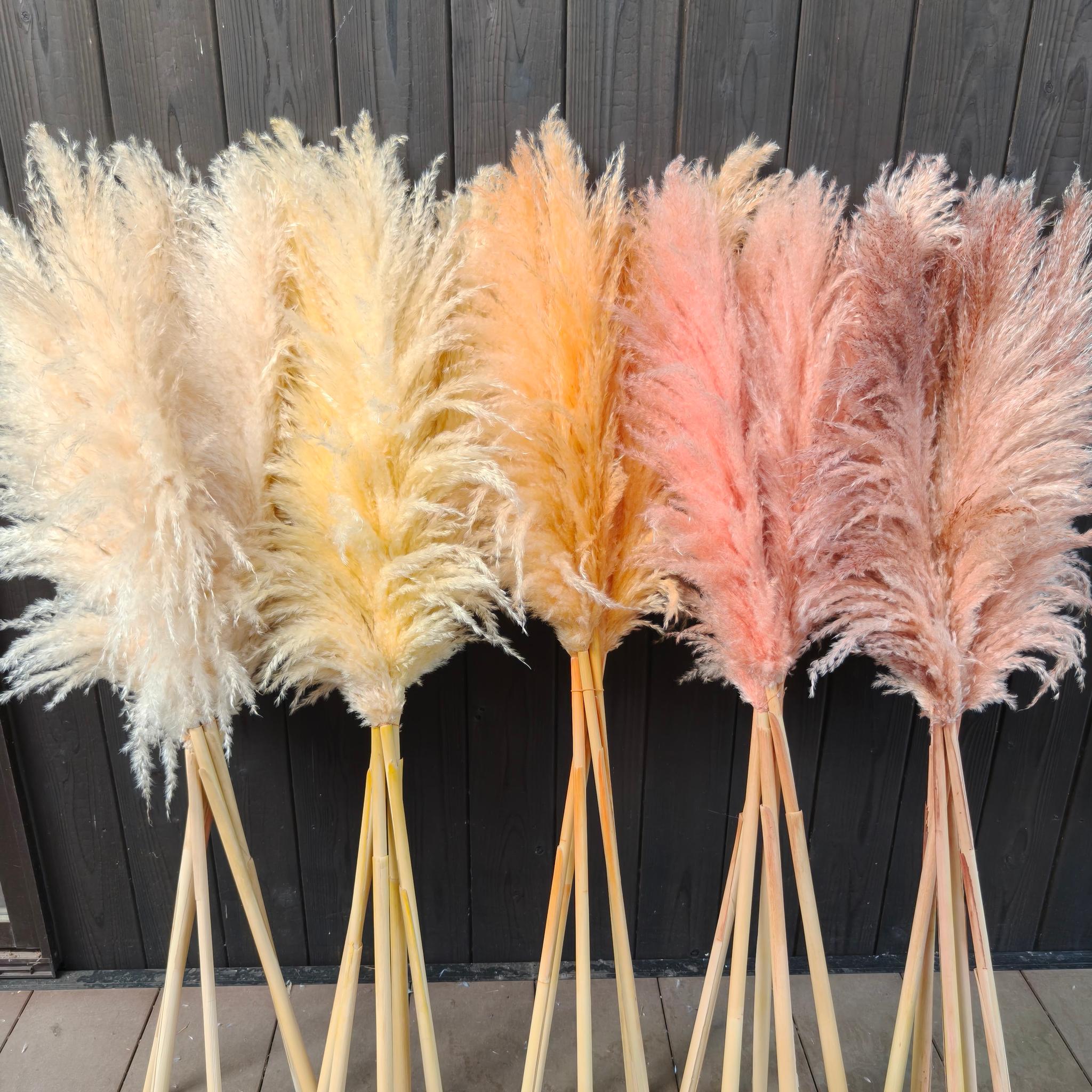 今季！暖色系の秋冬パンパスグラス  新築祝いドライフラワー インテリア ウェディング　即納クリスマス2025 | 5枚目